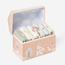 Load image into Gallery viewer, Elegant Baby Baby Socks Gift Set, 6 Pack (Farm, Garden)