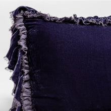Load image into Gallery viewer, Bella Notte Linens Loulah Sham (Euro, Deluxe)
