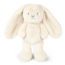 Load image into Gallery viewer, Ziggy Oatmeal Bunny
