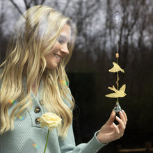 Load image into Gallery viewer, Brass &amp; Crystal Suncatchers (5 Styles)
