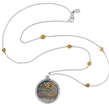 Load image into Gallery viewer, Waxing Poetic The World Kristal Medallion on Points of Light Chain
