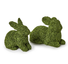 Load image into Gallery viewer, Natural Buckwheat Bunnies (2 Sizes)
