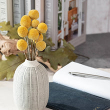 Load image into Gallery viewer, Mini Billy Button Bundle

