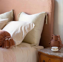 Load image into Gallery viewer, Bella Notte Linens Taline Euro Sham
