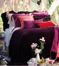 Load image into Gallery viewer, Bella Notte Linens Loulah Sham (Euro, Deluxe)
