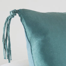 Load image into Gallery viewer, Bella Notte Linens Taline Euro Sham
