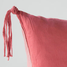 Load image into Gallery viewer, Bella Notte Linens Taline Euro Sham
