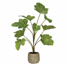 Load image into Gallery viewer, Faux Plant in Cement Pot
